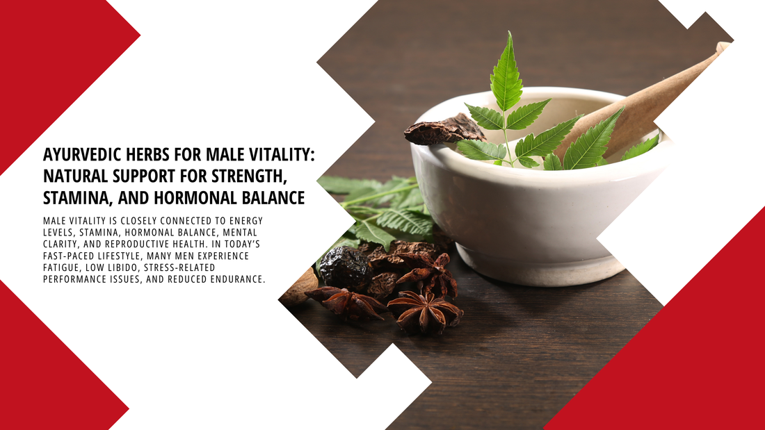 Ayurvedic Herbs for Male Vitality: Natural Support for Strength, Stamina, and Hormonal Balance