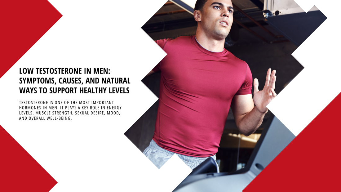 Low Testosterone in Men: Symptoms, Causes, and Natural Ways to Support Healthy Levels