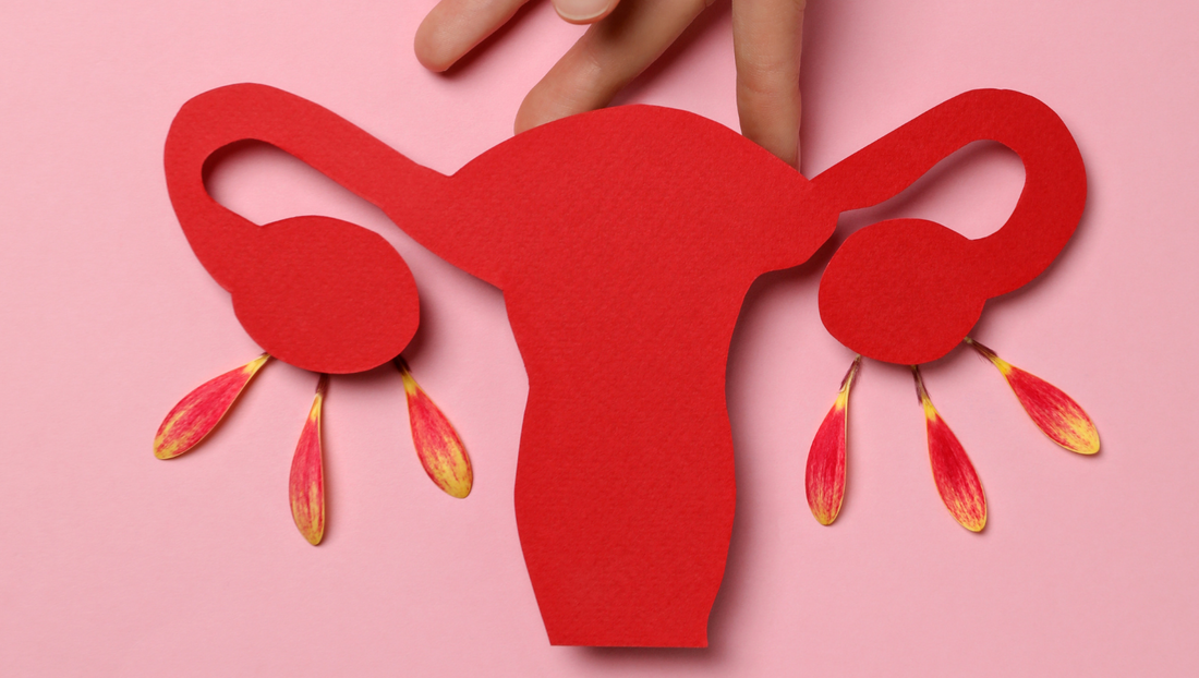 Understanding PCOS: A Guide to Symptoms and Treatment Options