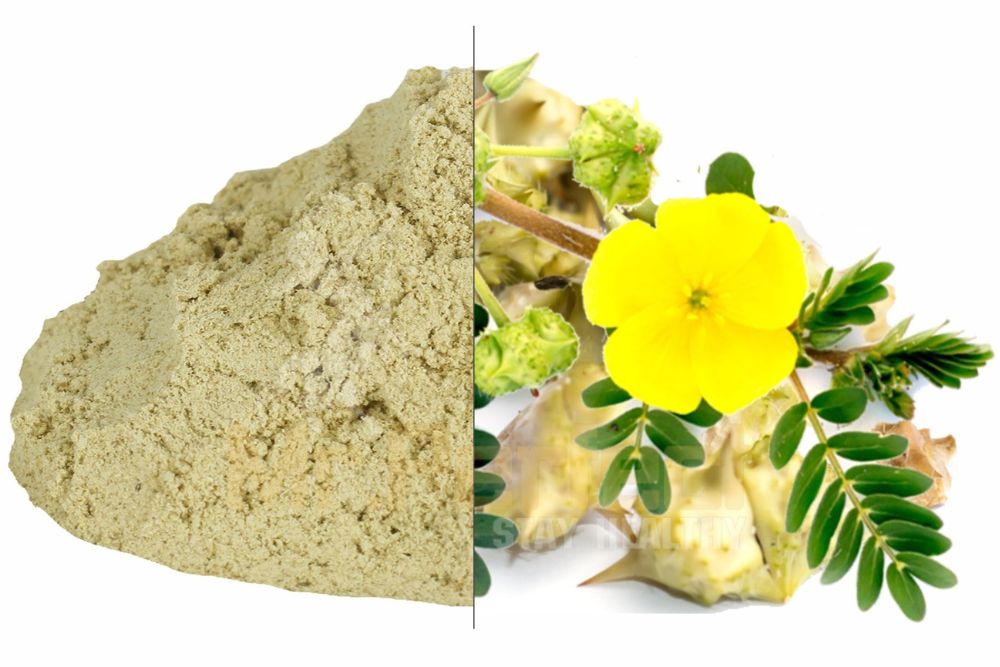 Gokshura | Supports Urinary Health