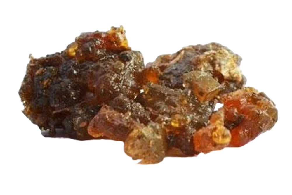 Drumstick Resin | Rich in Antioxidants & Supports Well-Being