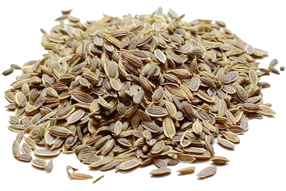 Dill Seed | Supports Women's Wellness & Digestion
