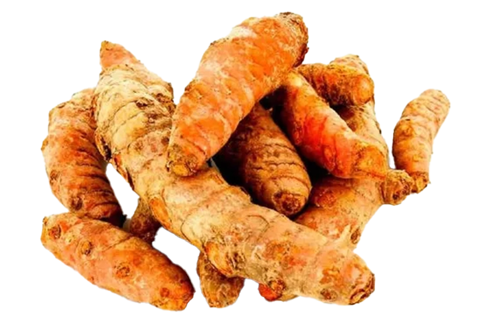 Tree Turmeric | Supports Healing & Women's Wellness